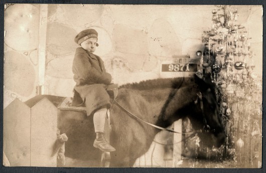 Tray on Horse at Christmas